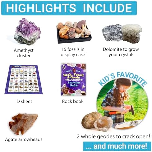 DANCING BEAR Rock, Mineral & Geodes Treasure Hunt Activity Kit (250 Pc Set) Real Shark Teeth Fossils, ID Sheet & Rock Book, STEM - Image 4