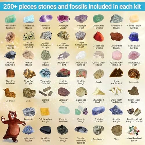 DANCING BEAR Rock, Mineral & Geodes Treasure Hunt Activity Kit (250 Pc Set) Real Shark Teeth Fossils, ID Sheet & Rock Book, STEM - Image 2