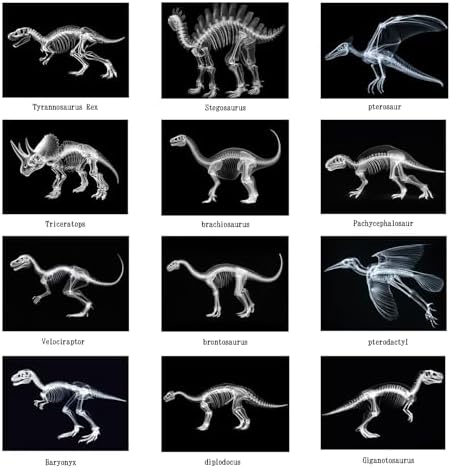 Animal X-Ray Set, Educational Science Kit, Light Table Accessory for Children (Dinosaurs) - Image 5