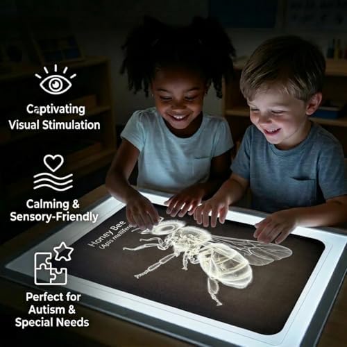 16Pcs Large A4 Insect & Animal X-Rays for Kids – Bug Science Kit & Light Table Accessories, Classroom & Homeschool Science Unit, Pretend Play Bug Scientist Detective, Bug-Themed Birthday Party Favors - Image 3
