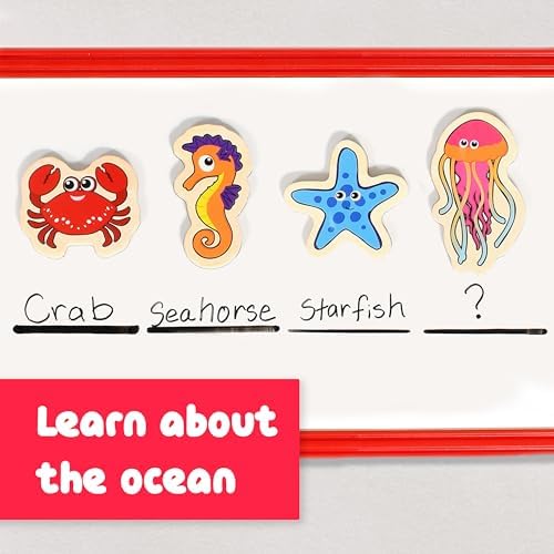 Spark & Wow Wooden Magnets, Sea Life, Magnets for Kids Ages 2+ - Image 6
