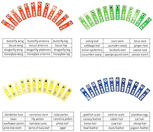 48 Prepared Microscope Slides Set of Animals Insects Plants Flowers, Biological Learning Resource Specimens for Kids Beginner Classroom Basic Science Education - Image 3