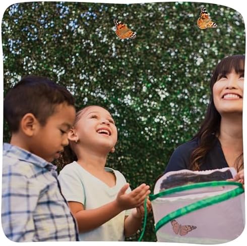 Insect Lore Raise and Release Butterfly Garden Kit – Caterpillar Habitat with redeemable Voucher – STEM-accredited Butterfly Growing Kit for Kids, Classrooms, and Homeschool Learning - Image 6