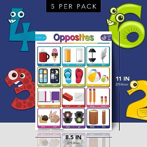 FoldCard Opposites Chart Educational Poster 8.5x11 5pk - Image 2