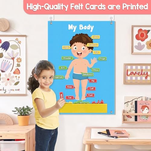 AKAYOK 36 Pcs Body Parts for Kids Felt Board for Toddlers Preschool Learning Activities Interactive Human Body for Kids Human Organ Educational Toys for 2 Year Old Felt Wall Activities for Toddlers - Image 2