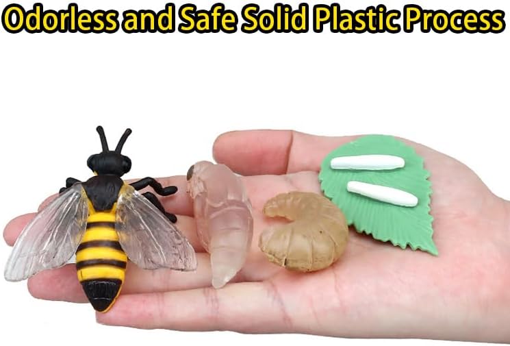 Montessori Life Cycle Animal Figures with Flash Cards, Realistic Animal Figurines Toy, and Educational Matching Game for Kids (Plant, Bee, and Snail) - Image 2