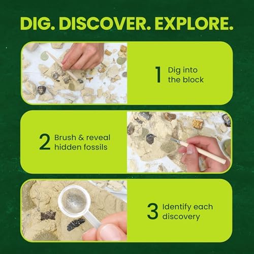 Nature Gear Dino Fossil Dig Kit for Kids, Educational Excavation Kit with 15 Glow in The Dark Mystery Fossils, Interactive Dinosaur Science Kits for Kids Age 3-5 and Up, Excavation Adventure Kit - Image 5