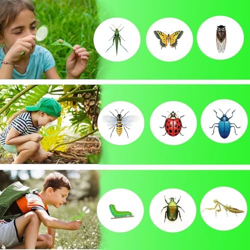 Bug Catcher for Kids - Outdoor Insect Catching Kit with Butterfly Net, Bug Box, and Storage Bag - Non-Toxic Educational Toys for Nature Exploration, for Boys & Girls Ages 3-12 - Image 4