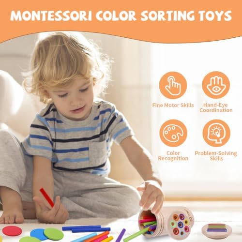 Montessori Toys for 1 2 3 Year Old, Wooden Color Sorting Preschool Baby Toy - Image 4