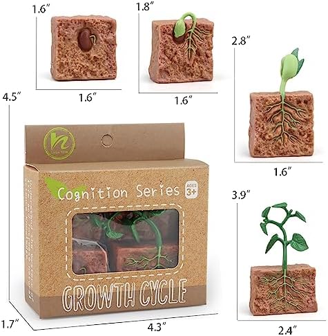 Montessori Life Cycle Animal Figures with Flash Cards, Realistic Animal Figurines Toy, and Educational Matching Game for Kids (Plant, Bee, and Snail) - Image 6