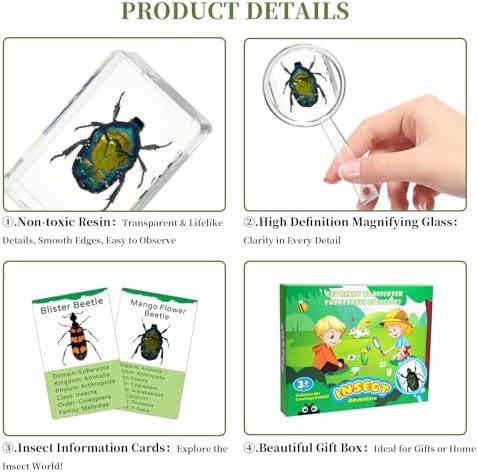 12Pcs Insect Specimens Set, Real Insect Taxidermy in Resin Specimens with Magnifier & Info Cards, Unique Science Classroom Science Education Animal Specimens, Bug Preserved, Oddities, Biology - Image 3