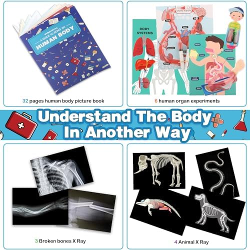 Human Body Activities & Experiments Science Kit for Kids,Human Anatomy Body Parts with Broken Bones X Ray,Lung Breathing Model, Vessels, Digestive System,Muscles Model,Skeleton,Human Organ STEM 5+ - Image 5