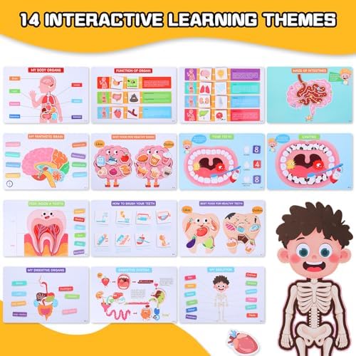 Montessori Busy Book for Toddlers 3-5, Human Body Anatomy Busy Book for Kids, Preschool Learning Activities, Autism Sensory Toys, Quiet Book Travel Toys, Educational Gifts for Boys Girls Ages 3-6 - Image 2