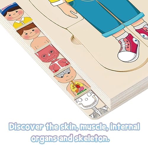 Wooden My Body Puzzle for Kids, Boys - Image 4
