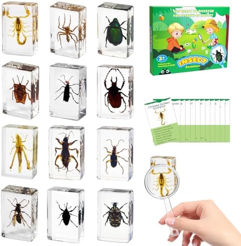 12Pcs Insect Specimens Set, Real Insect Taxidermy in Resin Specimens with Magnifier & Info Cards, Unique Science Educational Bugs, Oddities Gift by QNCMBUG-HighQualitySpecimens