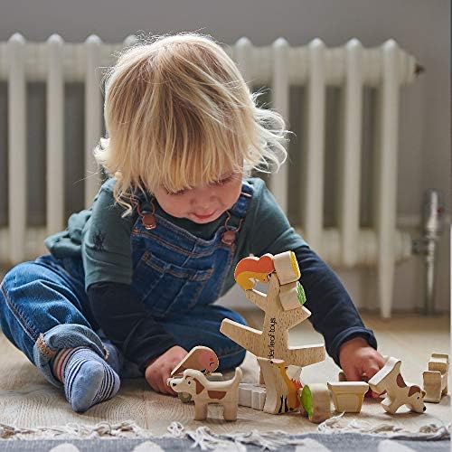 Tender Leaf Toys - Stacking Garden Friends - 14 Pcs Wooden Stacking & Balancing Toy & Educational Game with Free Travel Bag - Image 5