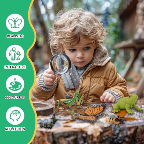 6 Set Montessori Life Cycle Learning Toys - Early Education Activities for Kids - Image 7