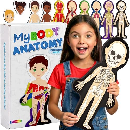 MyBODY Large Human Body Anatomy Model for Kids & Teens - Bottom-to-Top Magnetic Assembly Toy & Educational Learning Kit with Skeleton Base, 7 Puzzle Layers incl. Muscular, Digestive & Nervous Systems by HMmagnets