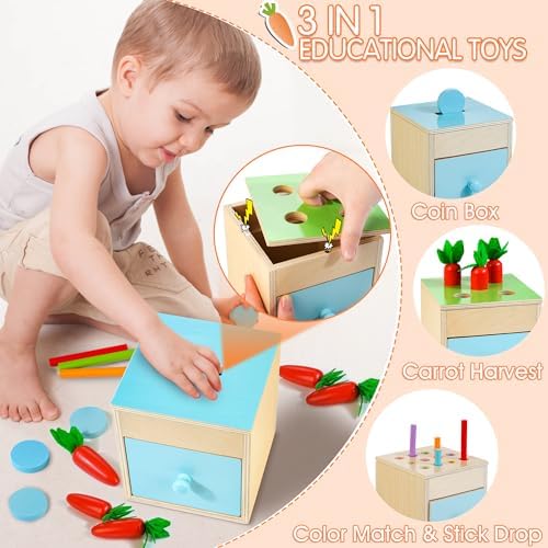 WOODMAM Wooden Montessori Toys for 1+ Year Old, 9 in 1 Educational Play Kit - Image 4