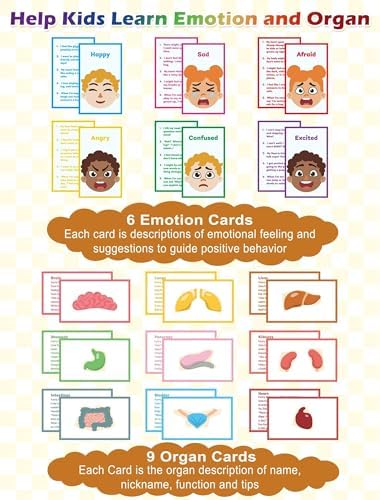Pretend Teacher Role Play School Set with Emotion and Body Puzzles - Image 6