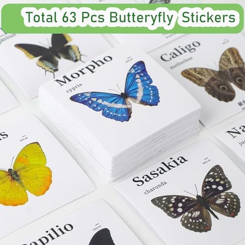 3 Pack Kids Telescopic Butterfly Fishing Net Set Extendable Anti Slip Bug Catching Kit with Box Cage Stickers Outdoor Toys - Image 2