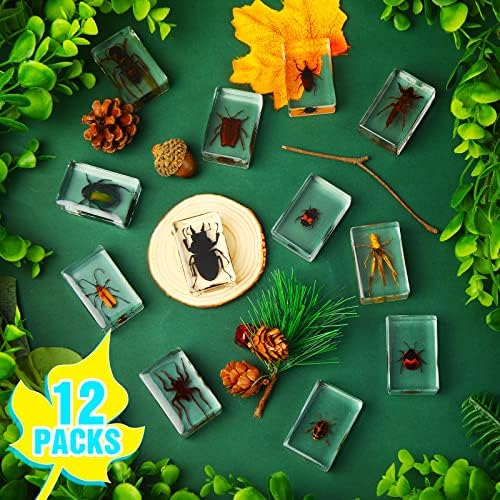 12 Pcs Insect Specimens for Kids Bug Collection Kit, Insect - Image 4