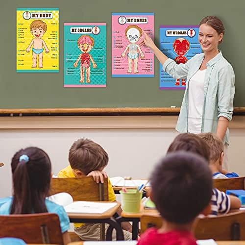 Outus 4 Pcs Human Body Parts Posters for Kids, 11 x 17 Inch - Image 5