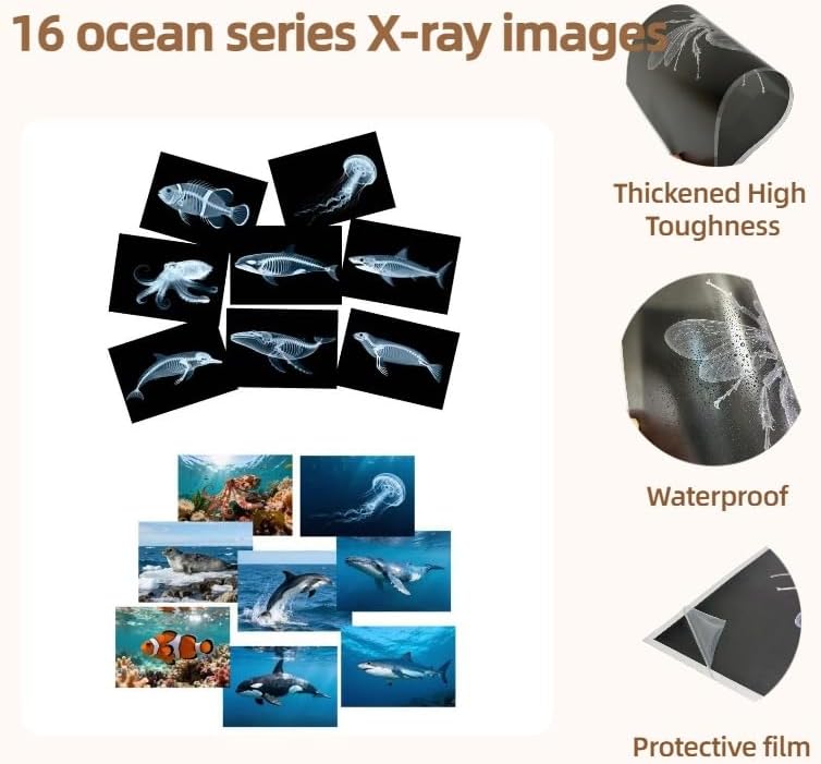 16 Animal X-Ray Set, Educational Science Kit for Kids to Explore Bone Structures for Lightstand Accessories, Light and Shadow Areas (Ocean Series) - Image 4