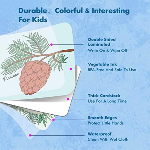 Hebayy Memory Matching Game, 72 PCS Grow A Garden Matching Cards for Toddlers 36 Designs Memory Cards Educational Toys for Preschool 4 5 6 Years Old - Image 3