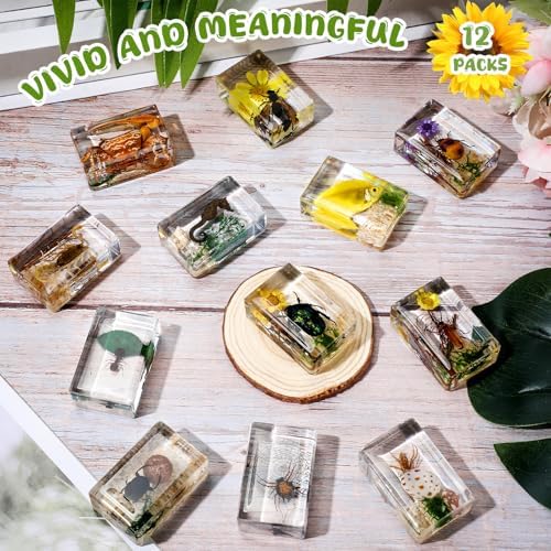 Macarrie 12 Pcs Insect Specimens for Kids Bug Collection Kit, Scenery - Image 2