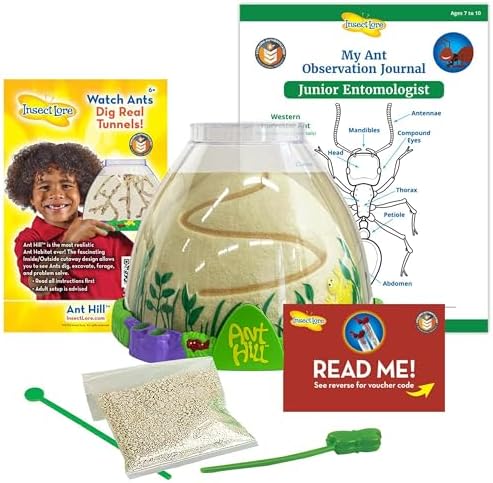 Insect Lore Ant Hill - Ant Habitat with Voucher to Redeem Live Western Harvester Ants - STEM Learning and Education Project for Classrooms or Homeschool by InsectLore