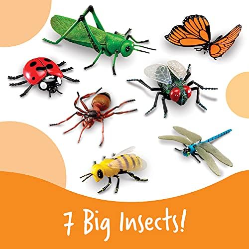 Learning Resources Jumbo Insects - Image 2
