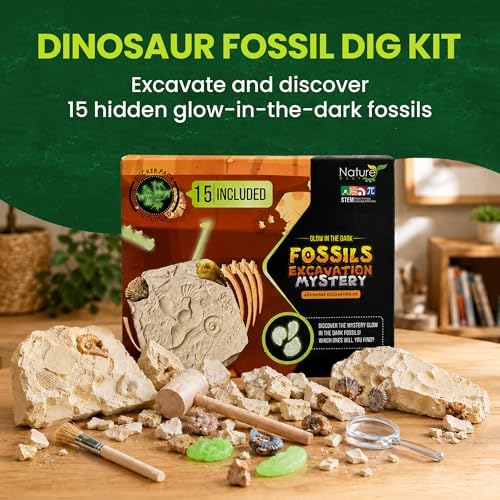 Nature Gear Dino Fossil Dig Kit for Kids, Educational Excavation Kit with 15 Glow in The Dark Mystery Fossils, Interactive Dinosaur Science Kits for Kids Age 3-5 and Up, Excavation Adventure Kit - Image 2