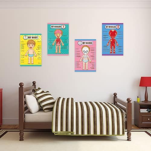 Outus 4 Pcs Human Body Parts Posters for Kids, 11 x 17 Inch - Image 6