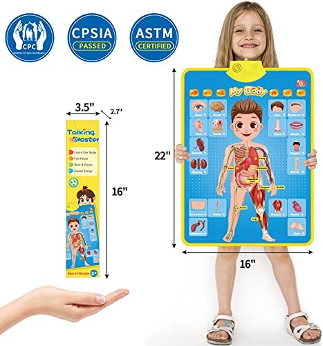My Body Interactive Educational Poster for Toddlers and Kids to Learn Body Parts, Organs, Muscles and Bones, 16'' x 22'' - Image 4