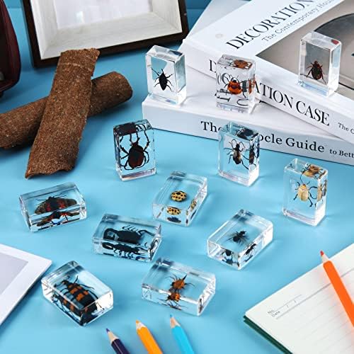 12 Pcs Insect Specimens for Kids Bug Collection Kit, Ladybug - Image 5