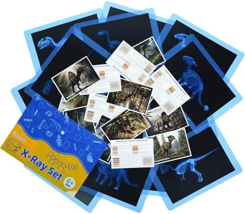15 Pcs Dinosaur Xrays & Creatures Cards - Light Table Toys by Odoorgames