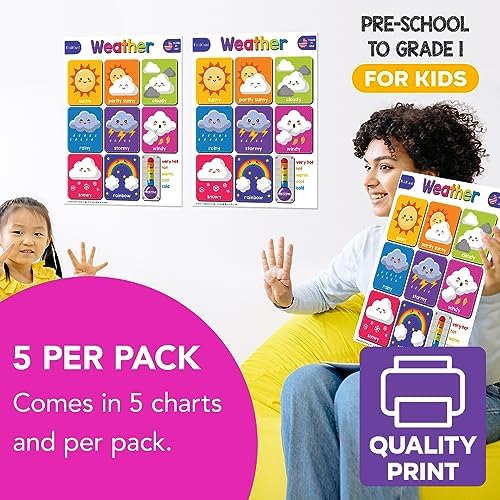 FoldCard Weather Chart Educational Poster 8.5x11 5pk - Image 4