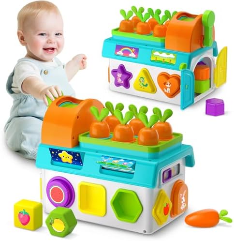 Montessori Toys for 1-2 Year Old Boys Girls, 1st First Birthday Gift for One Year Old, Baby 12-18 Month Educational Shape Matching Game w/ Lights & Sound, Fine Motor Learning Toys for Toddlers 1-3 by Zardali