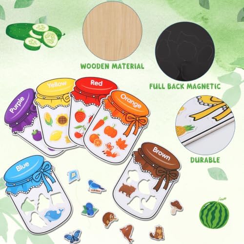 12Pcs Wooden Magnetic Color Sorting 72 Fridge Magnets for Kids - Image 5