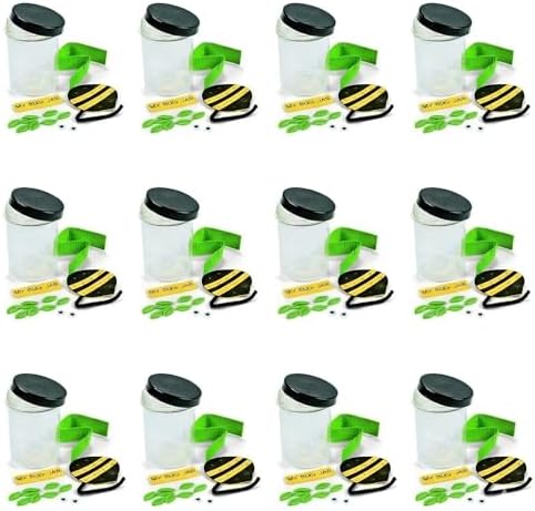 Fun Express Bug Catcher Kit for Kids - Makes 12 Bug Jars with Craft Supplies | Bug House Container with Ventilated Lids for Lightning Bug Catching | VBS Crafts, Bug Party Favors & Nature Explorer Kit by FunExpress