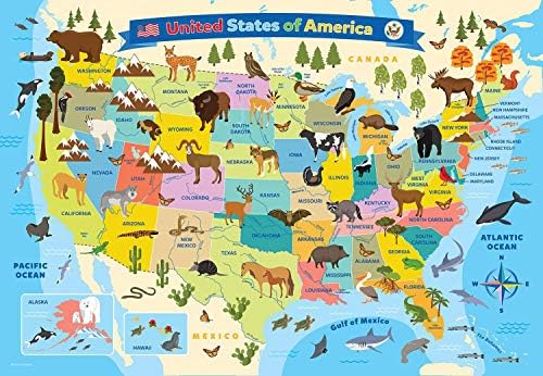 Illustrated Map of the United States of America - Image 4