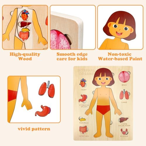 Wooden Body Puzzles for Kids, Toddler Montessori 14 Pieces Girl Anatomy Puzzle, Human Body Learning Toy with Internal Organs Early STEM Educational Toy for Boys and Girls Ages 3 4 5 6 Years Old - Image 3