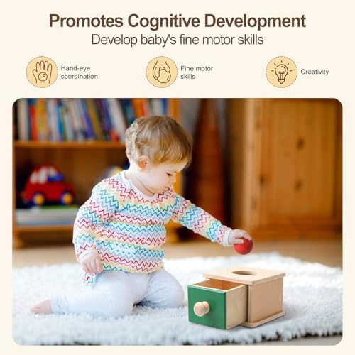 Montessori Toys for Babies 6-12 Months,8 in 1 Developmental Learning Toys Set Wooden Sensory Toys for Baby Toys 12-18 Months (Includes Tissue Box Toy,Stacking Cups and More) - Image 6