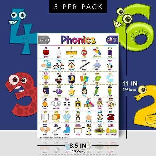 FoldCard Phonics Chart Educational Poster 8.5x11 5pk - Image 2
