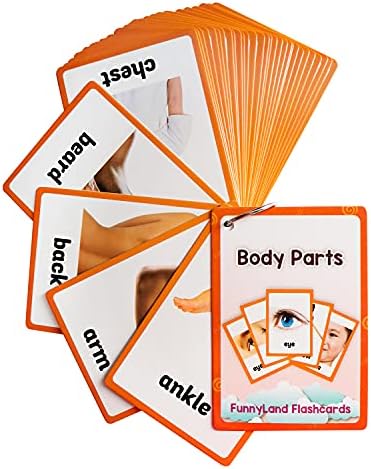 Lilias Body Parts Flash Cards, Toddler & Preschool Learning Toys, Kindergarten Learning Supplies, 4.3 x 3.14 Inch, 34 Cards by Unknown