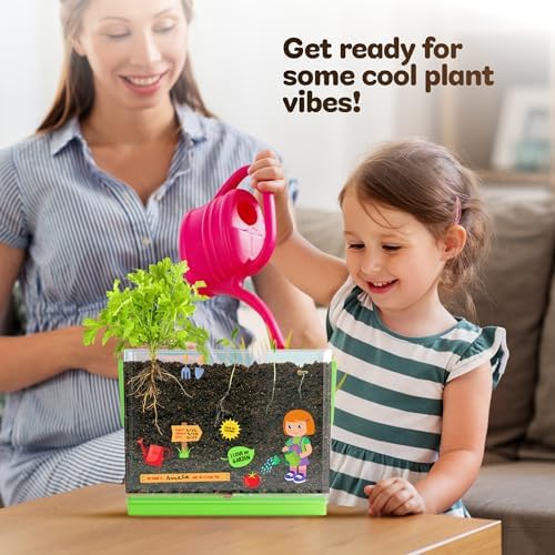Root Viewer Kit for Kids - Grow Your Own Plant for Boys & Girls Gifts - Image 6