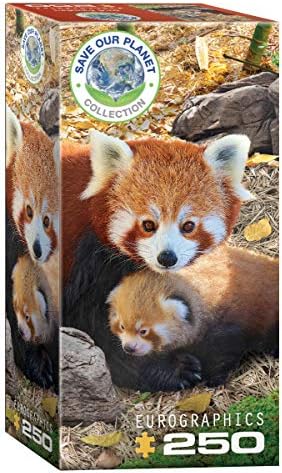 Red Pandas by EuroGraphics