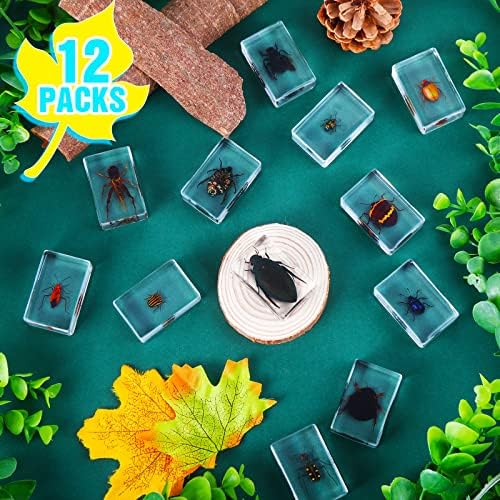 12 Pcs Insect Specimens for Kids Bug Collection Kit, Cricket - Image 2