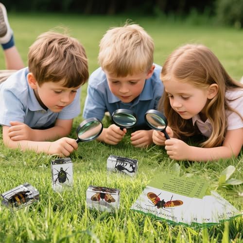 12Pcs Insect Specimens Set, Real Insect Taxidermy in Resin Specimens with Magnifier & Info Cards, Unique Science Classroom Science Education Animal Specimens, Bug Preserved, Oddities, Biology - Image 6